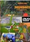 DVD 24 - P�ssaros Livres - Sons P�ssaros Brasil